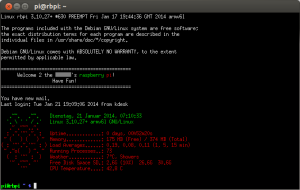 Raspberry Pi Bash