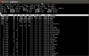 Raspberry Pi under stress